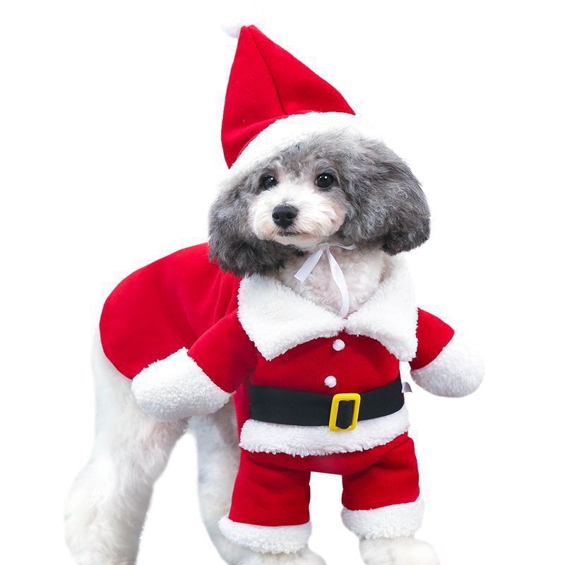 Pet Christmas Decoration Costume Pet Standing Costume Pet Essentials-6