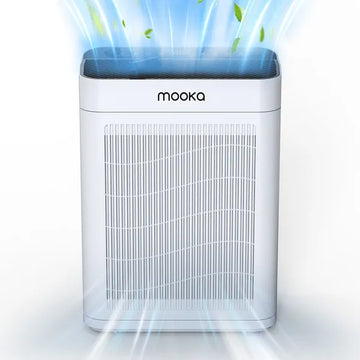 Air Purifiers For Home Large Room Pets Up To 2200 Sq Ft, H13 True HEPA Air Purifier Cleaner, Fragrance Pet Essentials-6