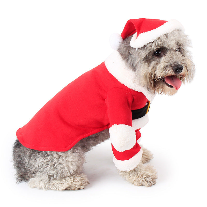 Pet Christmas Decoration Costume Pet Standing Costume Pet Essentials-6