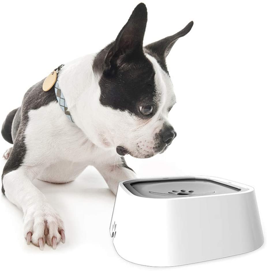 Spill-Proof Pet Travel Water Bowl Pet Essentials-6
