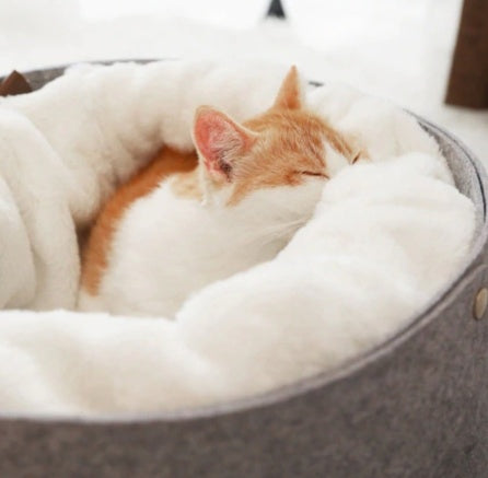 Cozy Pet Bed Pet Essentials-6